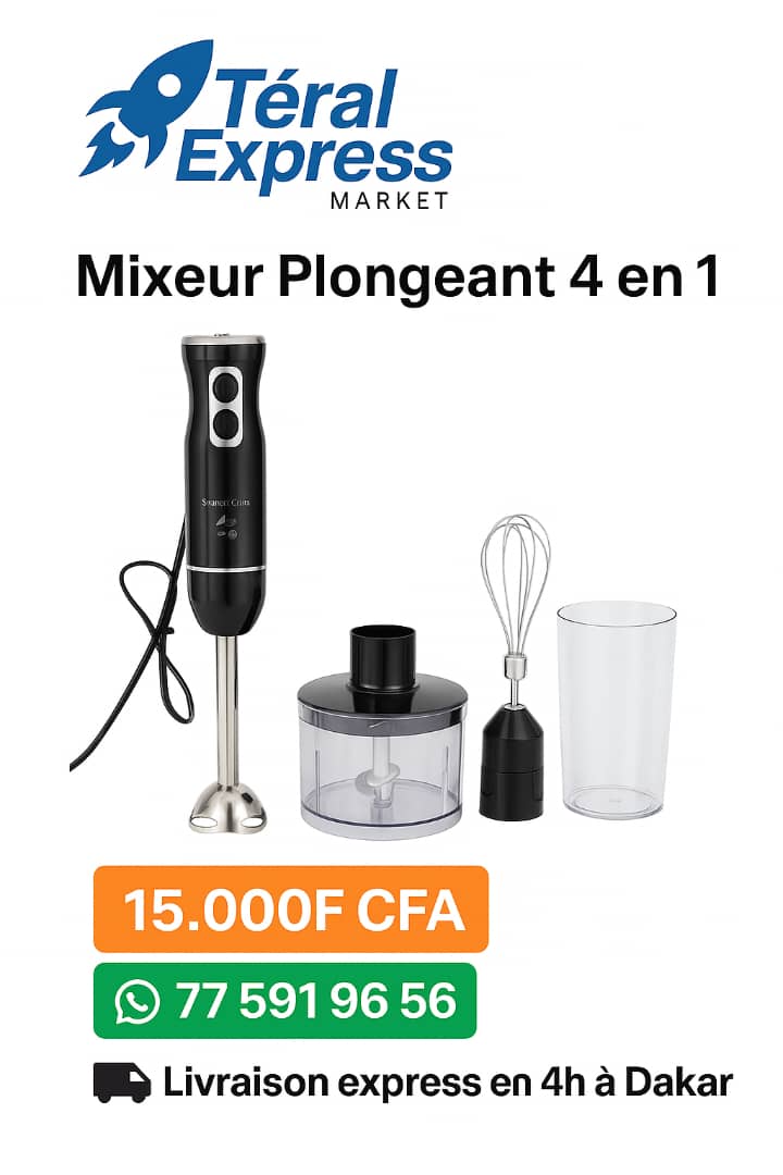 Mixeur plongeant multifonction 4 en 1 inox et plastique – TeralExpress Market
